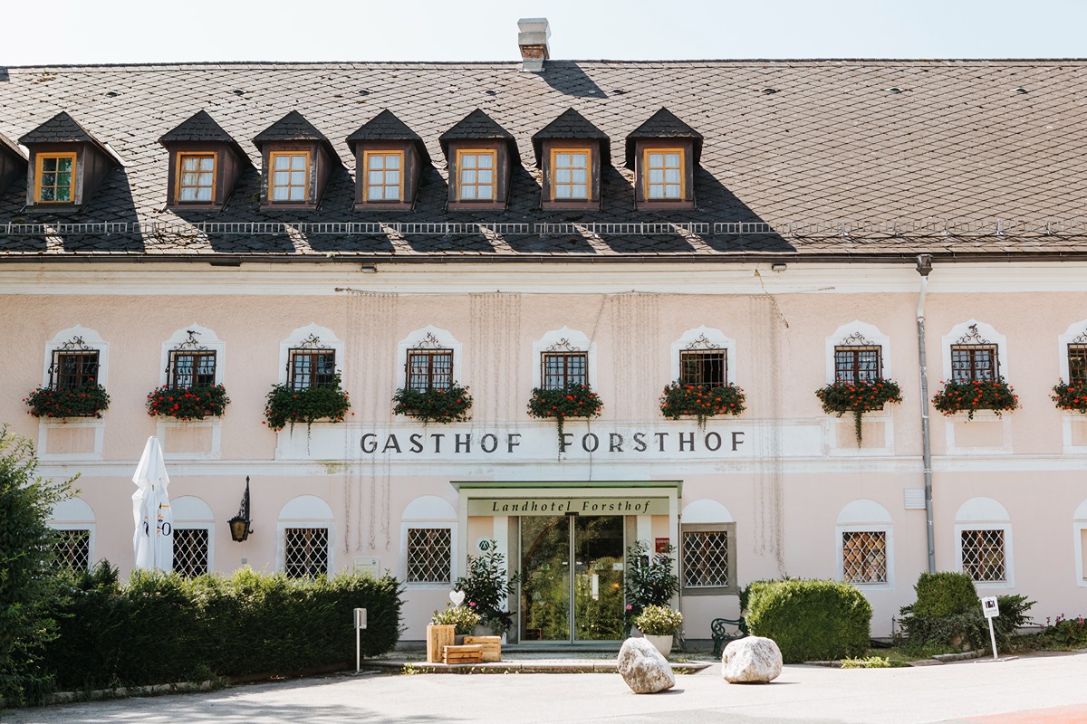 Forsthof in Sierning &ndash; auf der Insel der Weinseligen
