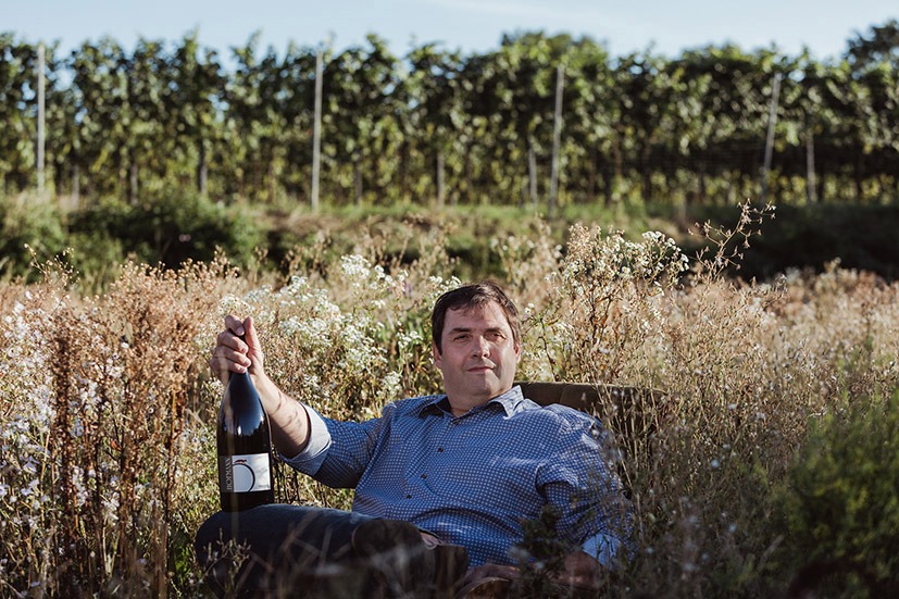 Weingut Hofmann &ndash; cool im Weingarten